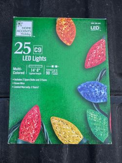 Home Accents 25 Multi Colored C9 LED Lights