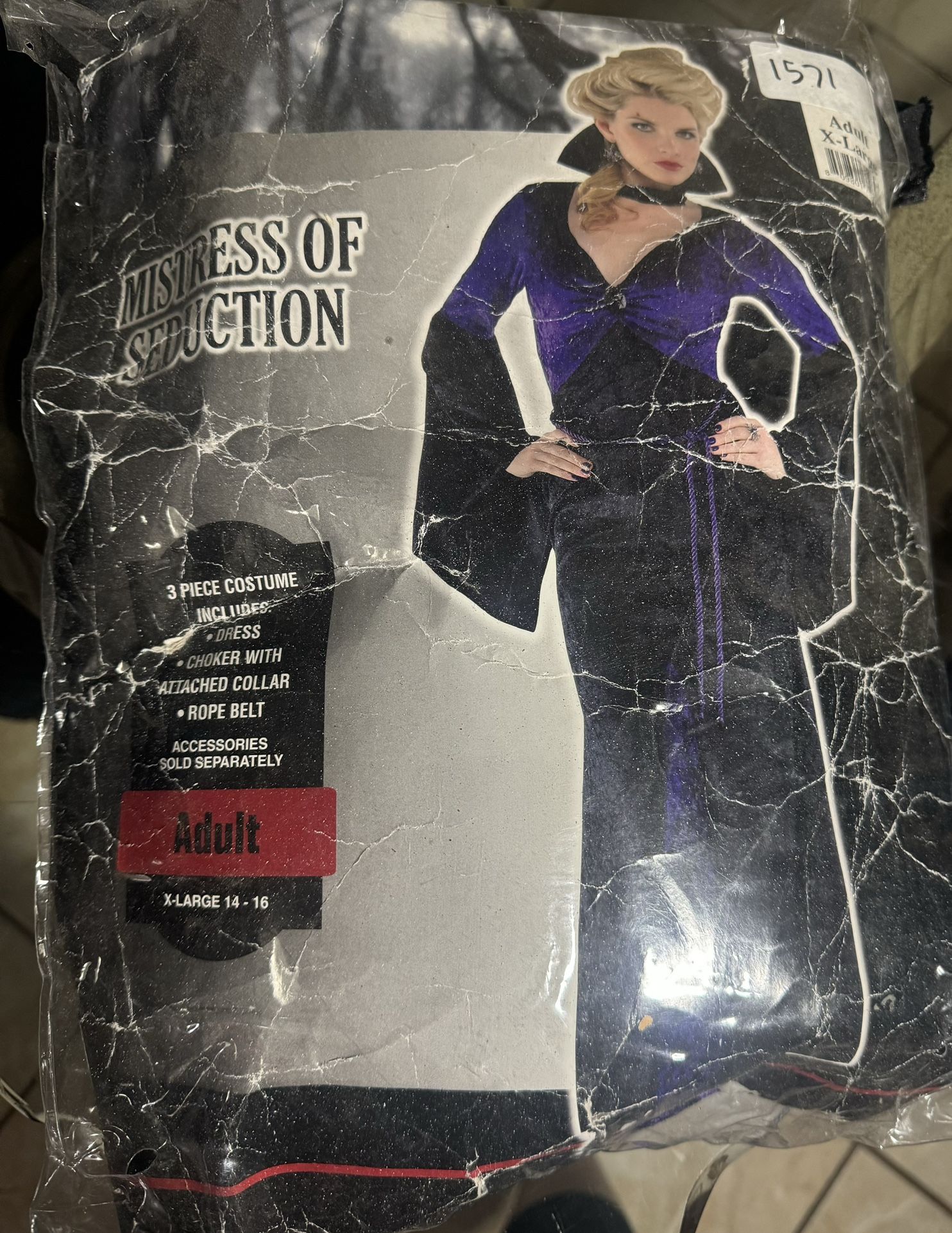 Mistress Of Seduction Costume