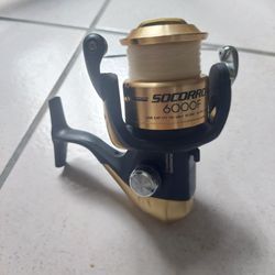 Shimano Fishing Reel