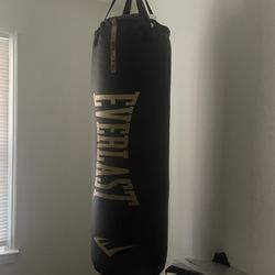 100lb punching bag