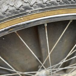 Beach Cruiser Tire And Back Rim 