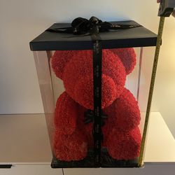 Rose Box Teddy Bear