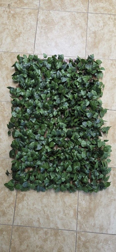 Artificial Ivy Eden