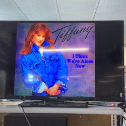 Magnavox TV no remote 