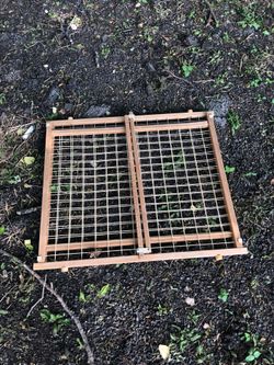 Baby and doggie door