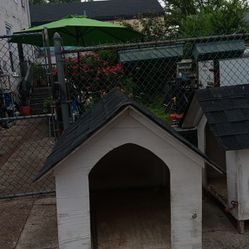 Home Made Dog Houses Heavy And Very Durable