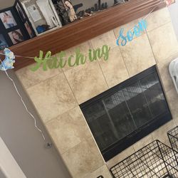 Dinosaur Baby Shower