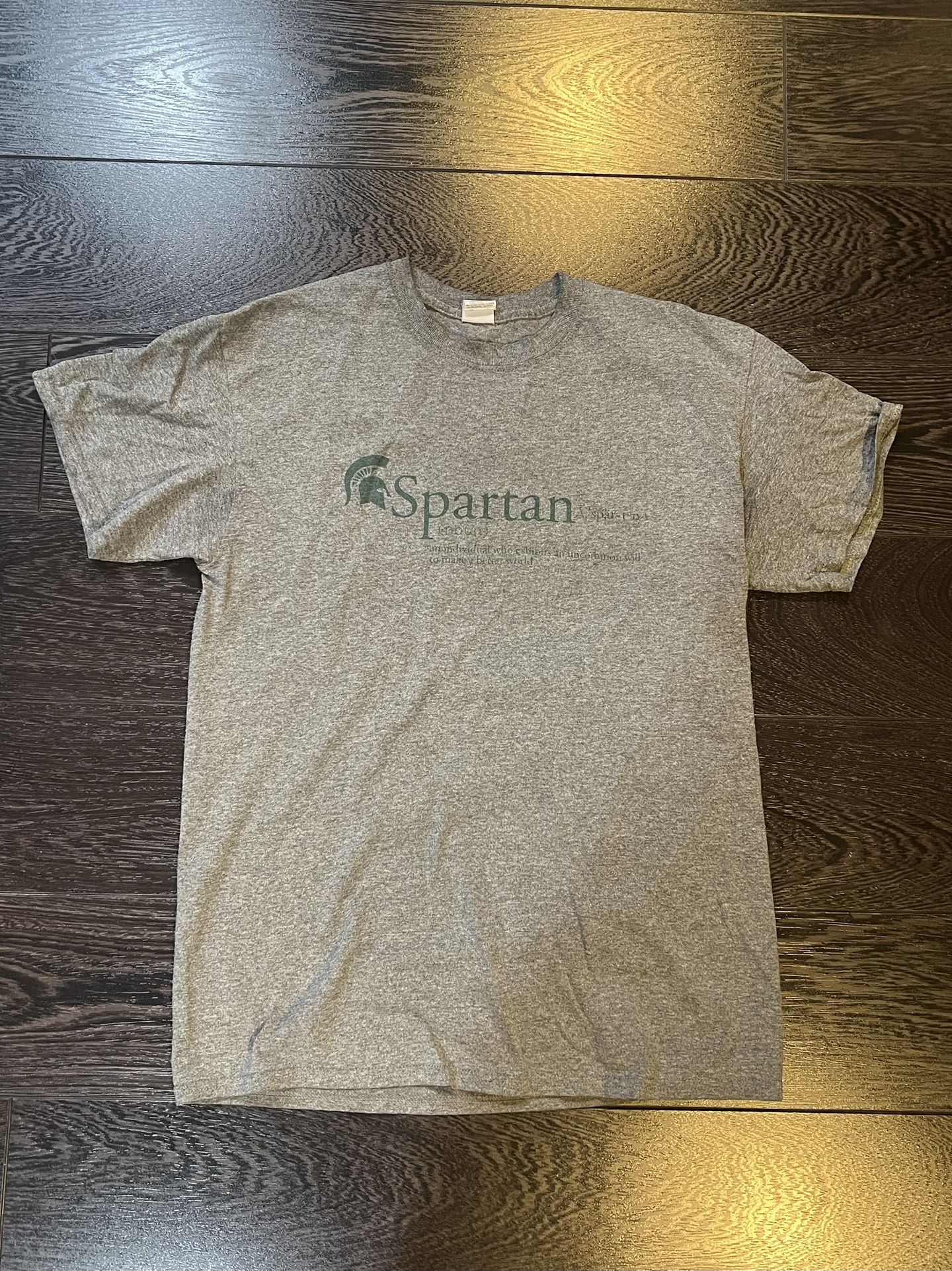 Adult  size Medium M Michigan State University Spartan T- shirt Grey MSU top