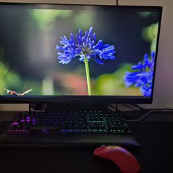 Prebuilt Gaming PC Bundle 