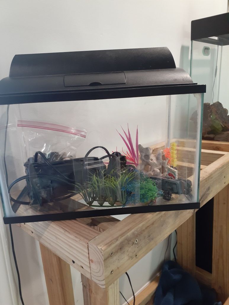 10 gallon fish tank with accessories