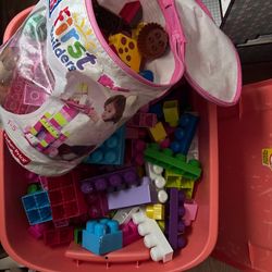 Building Blocks Plus The Tote 