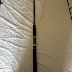 Ugly Stik Bigwater Fishing Rod