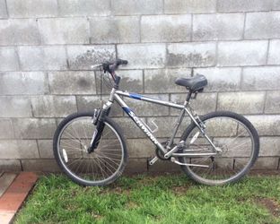 Adult Bike