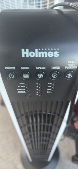 Fan