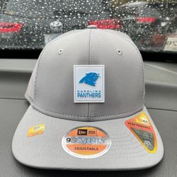 PANTERS CAP NEW