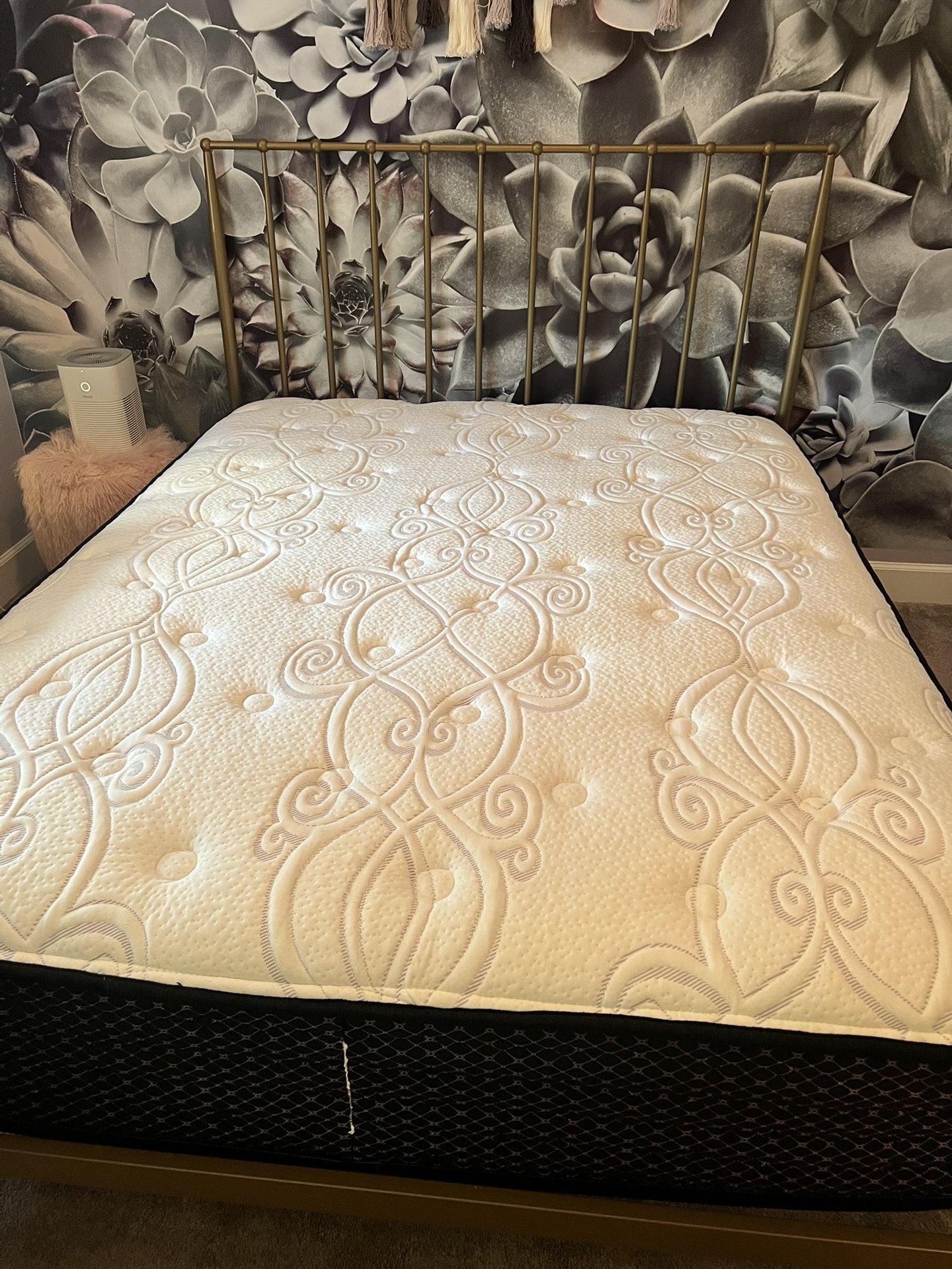 Queen Bed Frame & Mattress