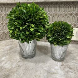 Faux Plants