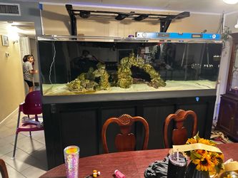 540gallon reef tank