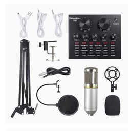 Portable Karaoke System. Studio Audio Quality. Great for live streaming too.