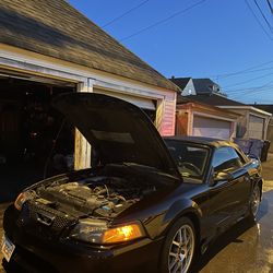 Mustang Gt500 Wheels 5x114.3 (5x4.5)