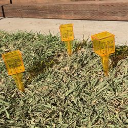 10 Pack, Rain/sprinkler Gauge