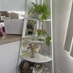 White Corner Ladder Shelf 