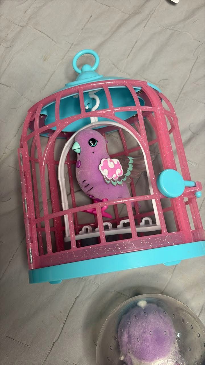 Live Pets Bird
