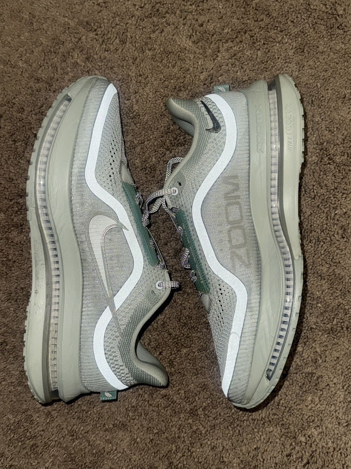 Nike Pegasus