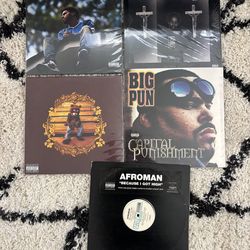 Hip Hop Rap Vinyl Record Lp Lot