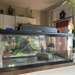 Water Filter/tank
