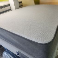Mattress And Box Spring Size Queen 
