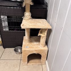 Cat Tower