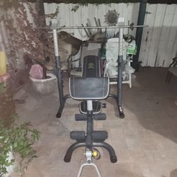 Squat Rack/Bench Press