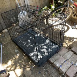 Dog Cage