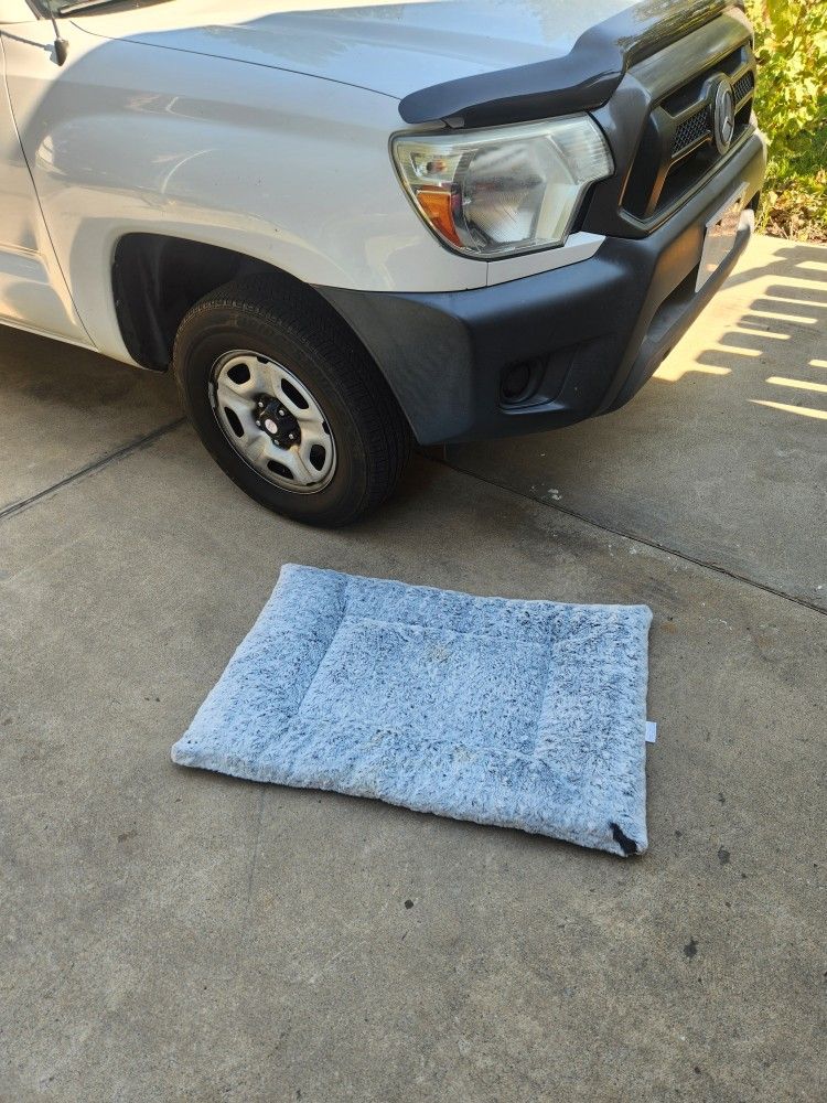 Very clean medium size dog bed