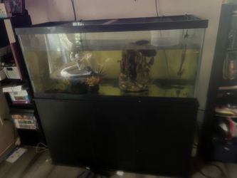 75 gallon with stand