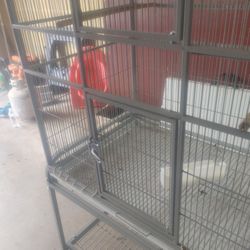 Bird Cage