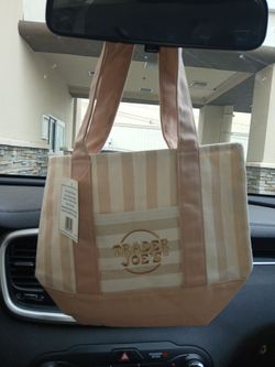 Trader joe's mini striped canvas tote bag