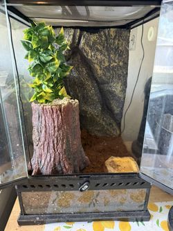 Reptile Habitat