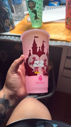 Disney Inspo Cup 