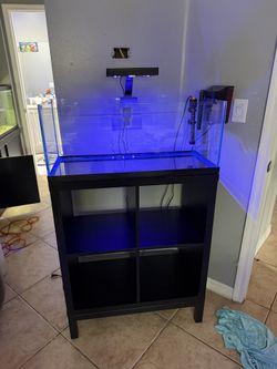 20gallon Reef Tank