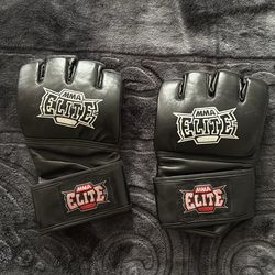 MMA Gloves