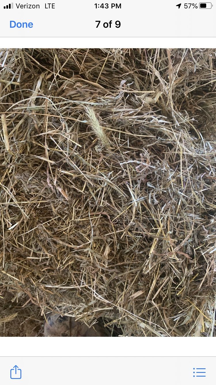 Hay Good Kentucky mixed Grass , last cut