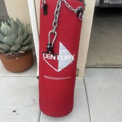 Century Punching Bag