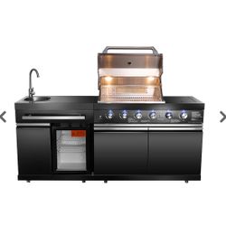 Brand New Bbq Island