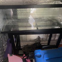 Fish Tanks Witg Stand (x2)