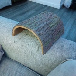 Reptile Log 