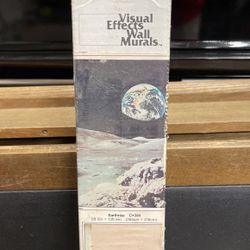 Wall Mural Moon With Earth Rising