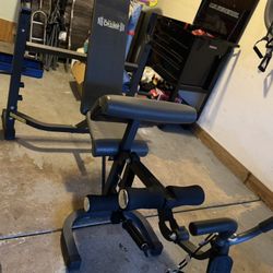 Body Champ Bench Press