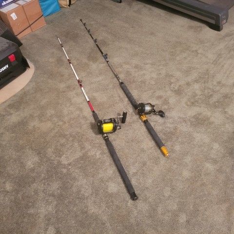 2 Deep Sea Fishing Poles And 2 Really Good Reel.